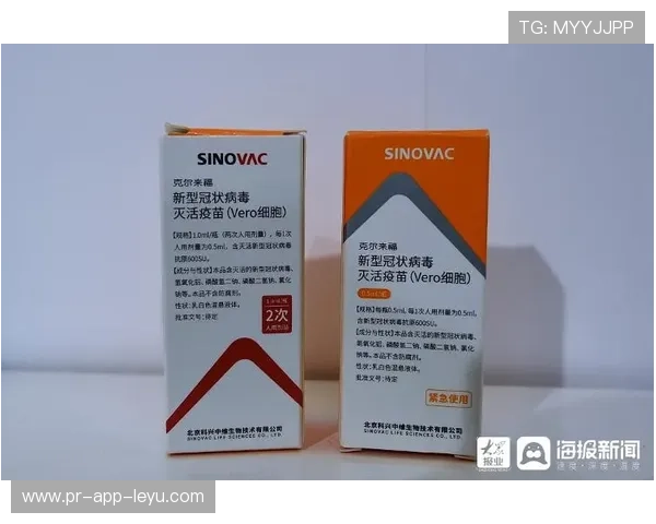 世界篮球学院推动国际认证与课程互认便利人才流动，reason国际篮球学院